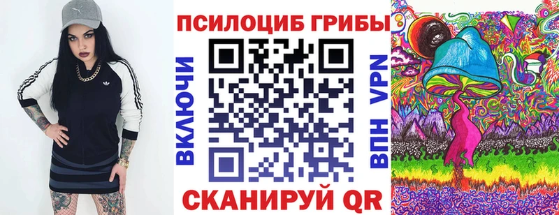 hydra   площадка Telegram  Закаменск  Псилоцибиновые грибы GOLDEN TEACHER  где продают  
