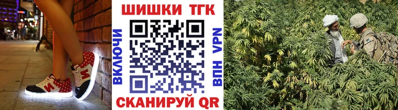 Конопля ГИДРОПОН  купить наркотики сайты  Закаменск 